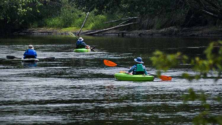 River Kayakers